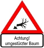 Beispielbild umgestuerzter Baum